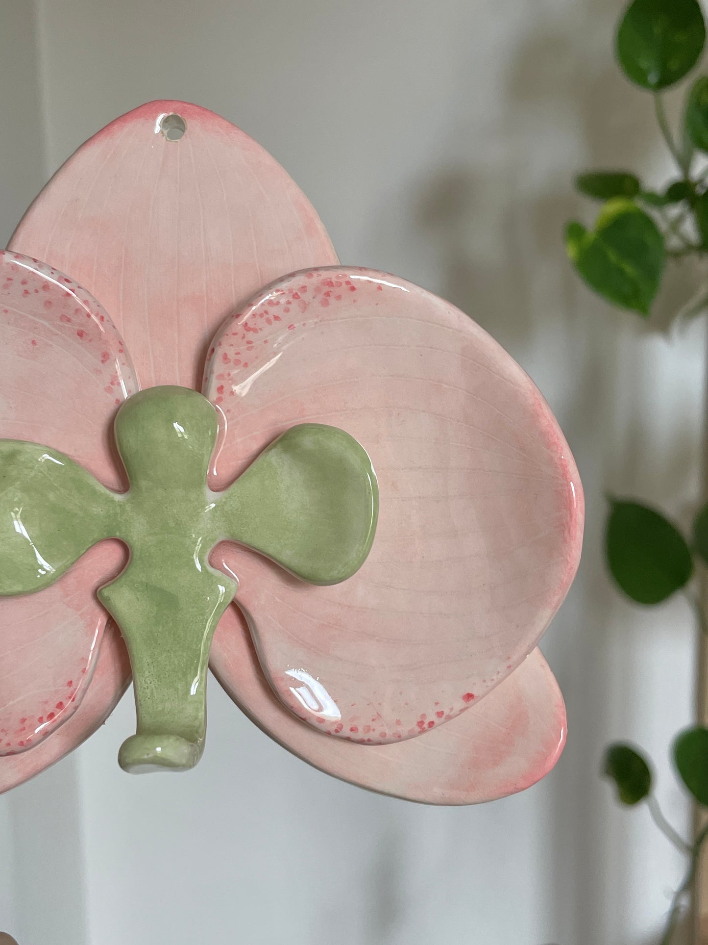 Orchidée rose & verte