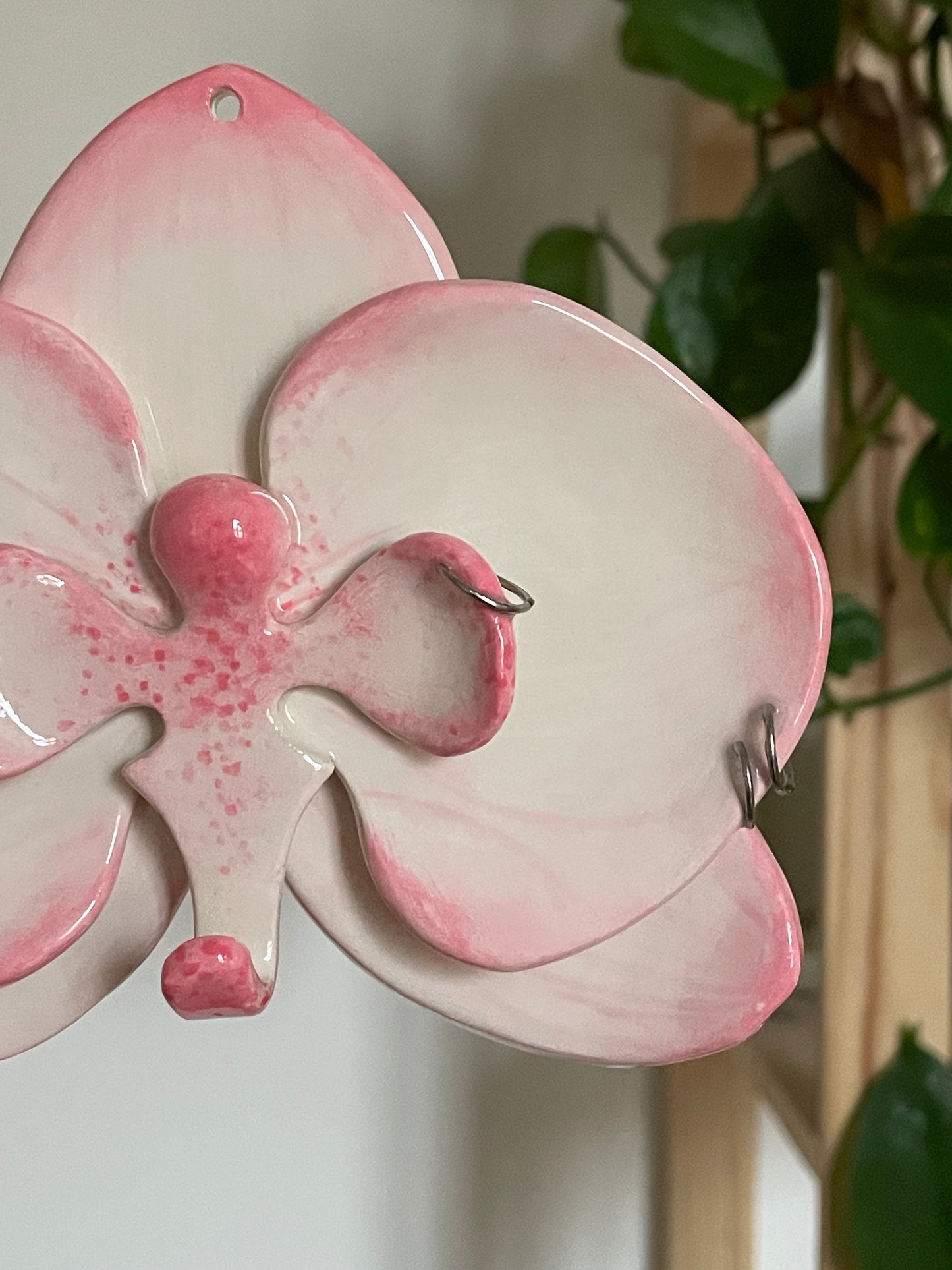 Orchidée piercings rose