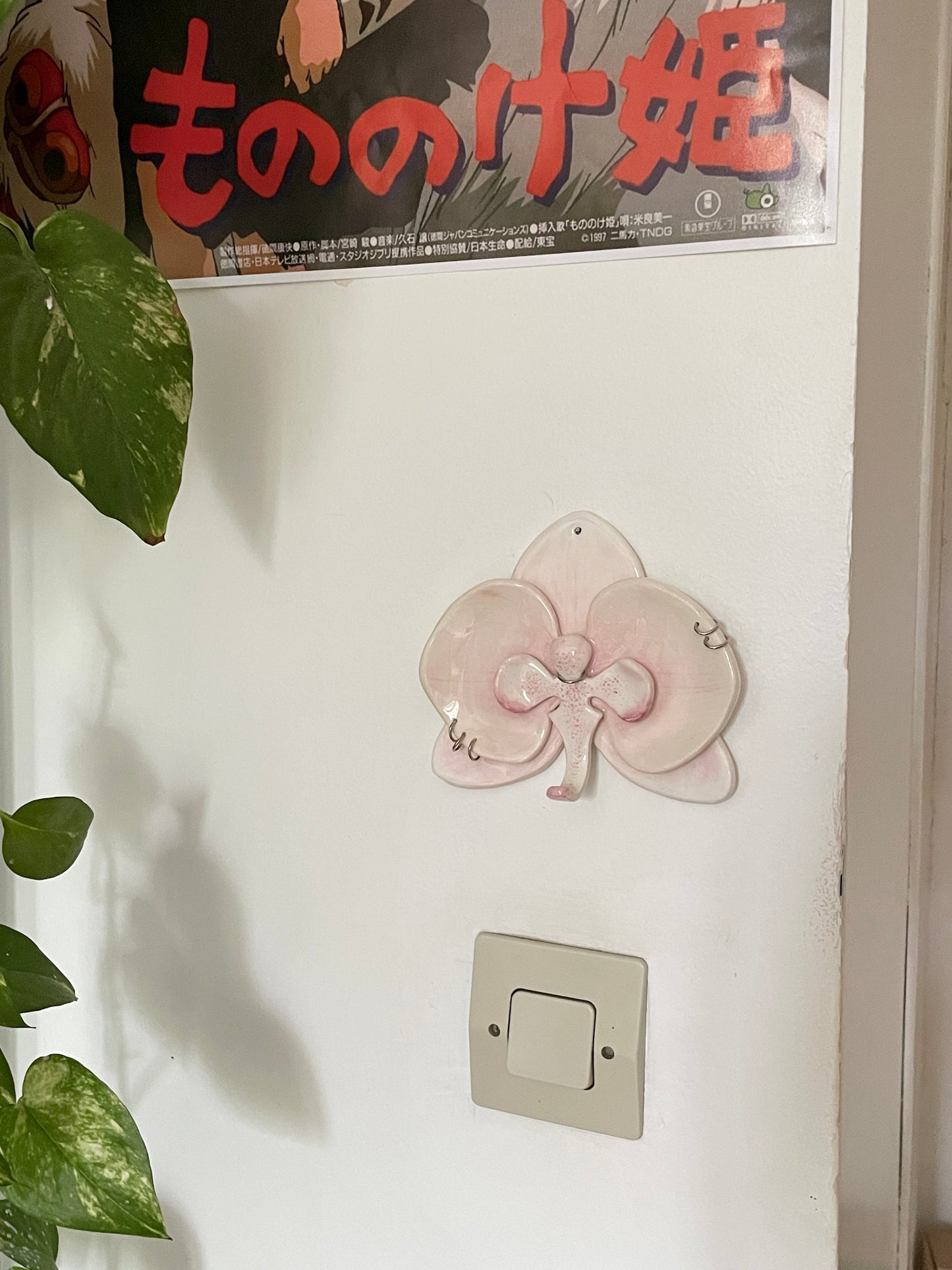 Orchidée clair piercing