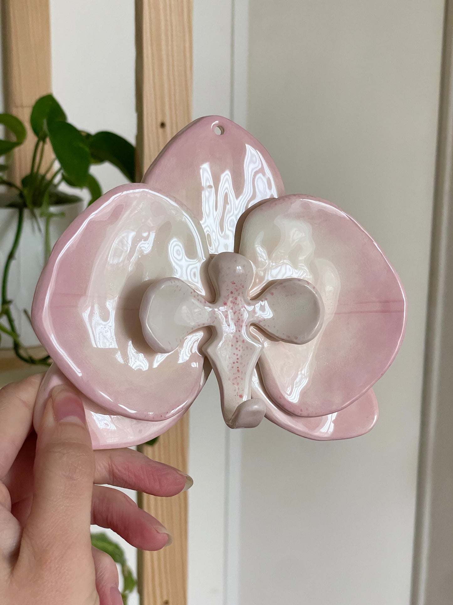 Orchidée murale violette