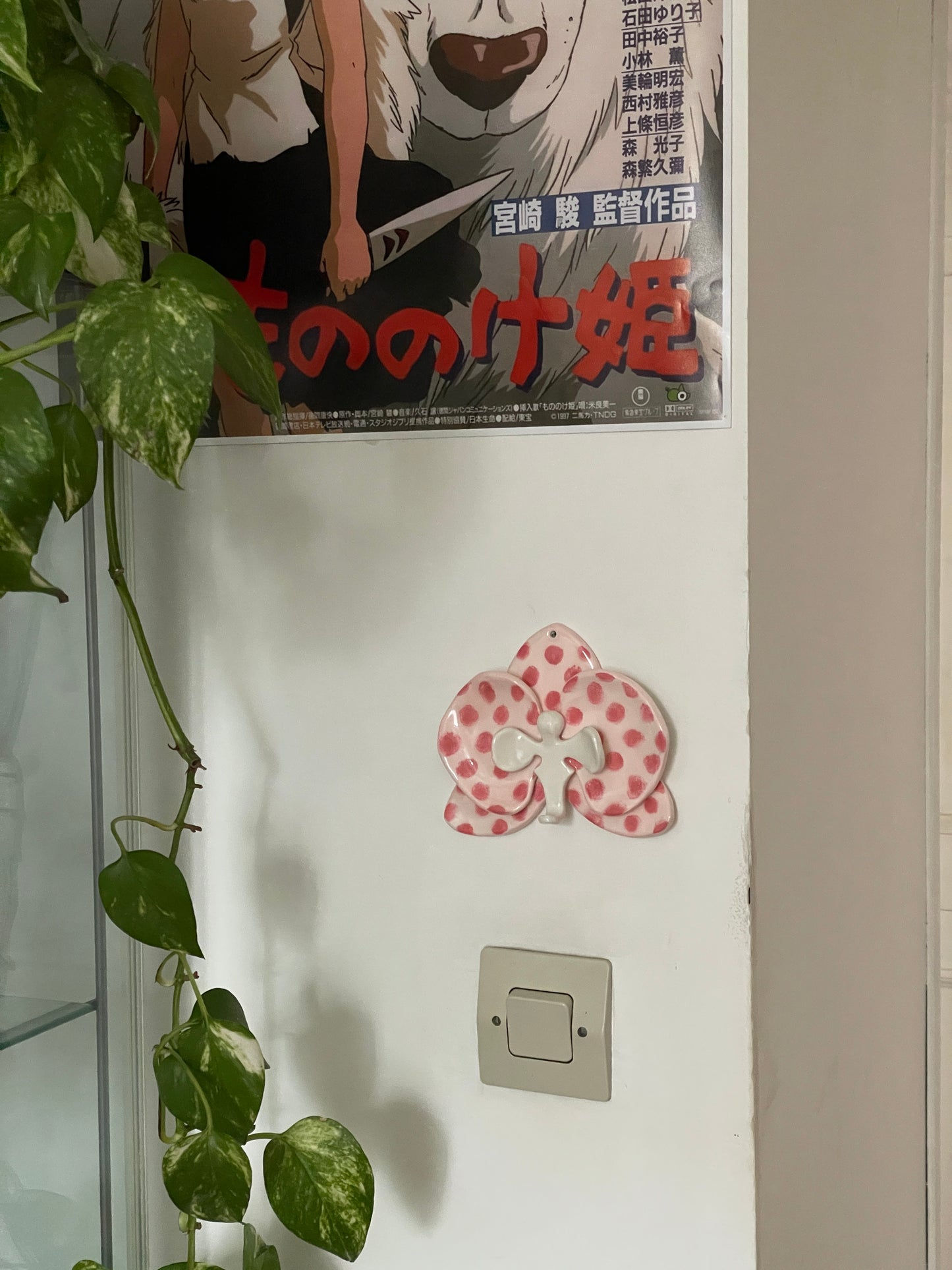 Orchidée polka dot rose