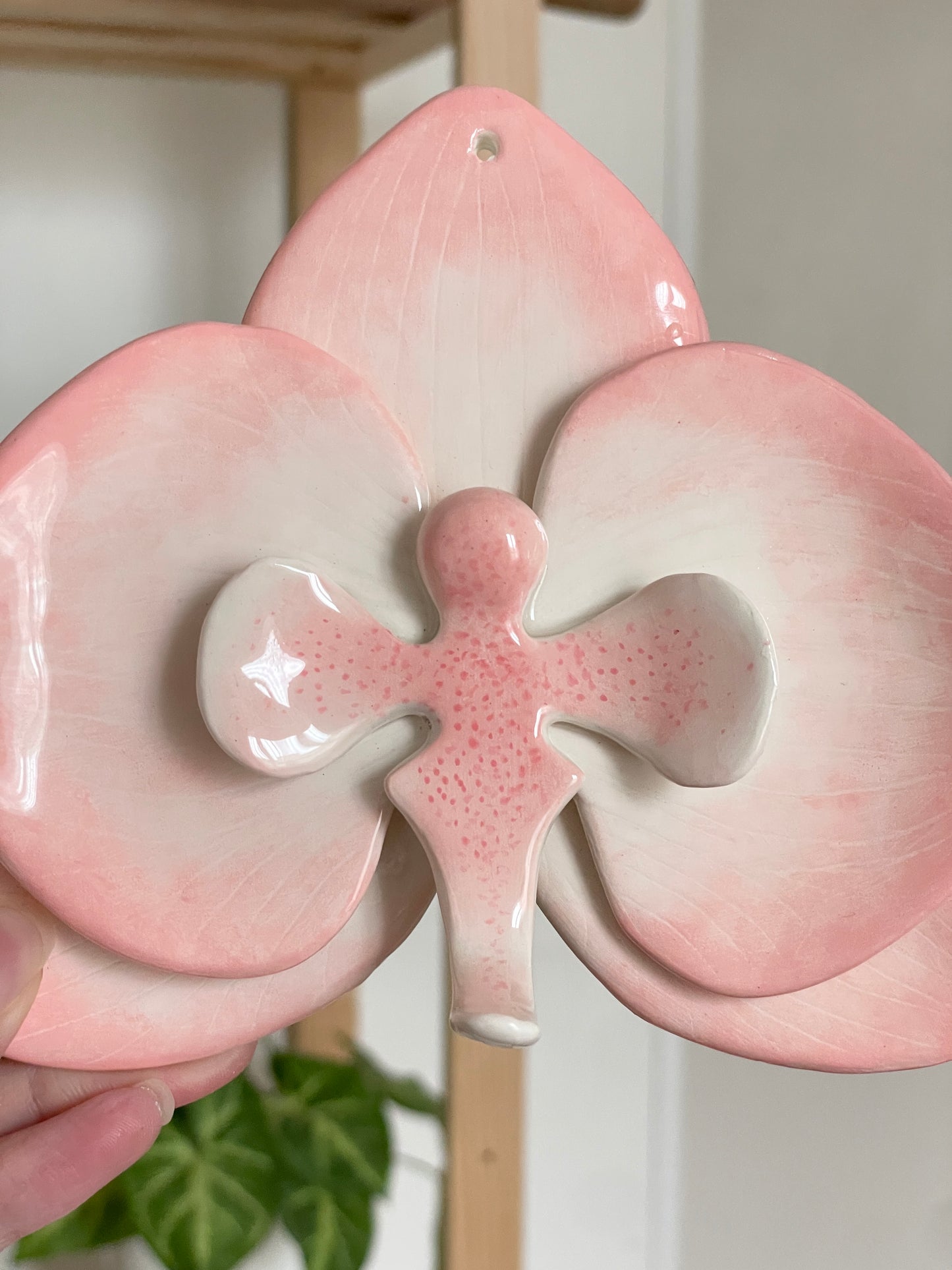 Orchidée murale rose