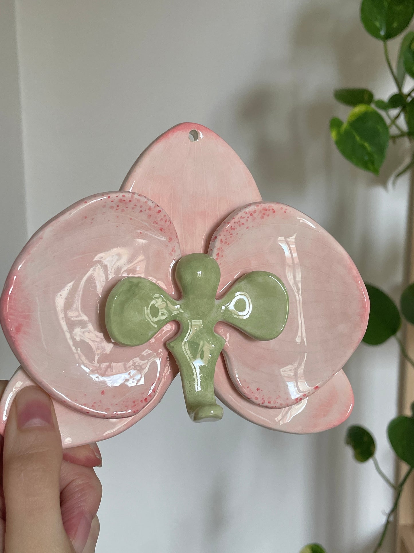 Orchidée rose & verte