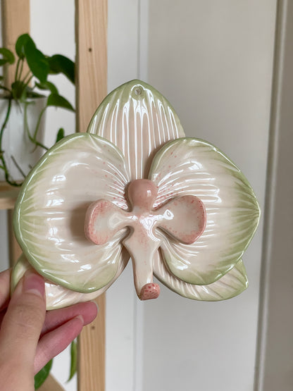 Orchidée murale beige et vert