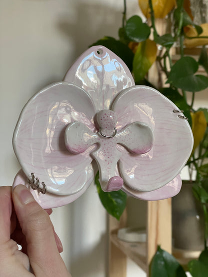 Orchidée clair piercing