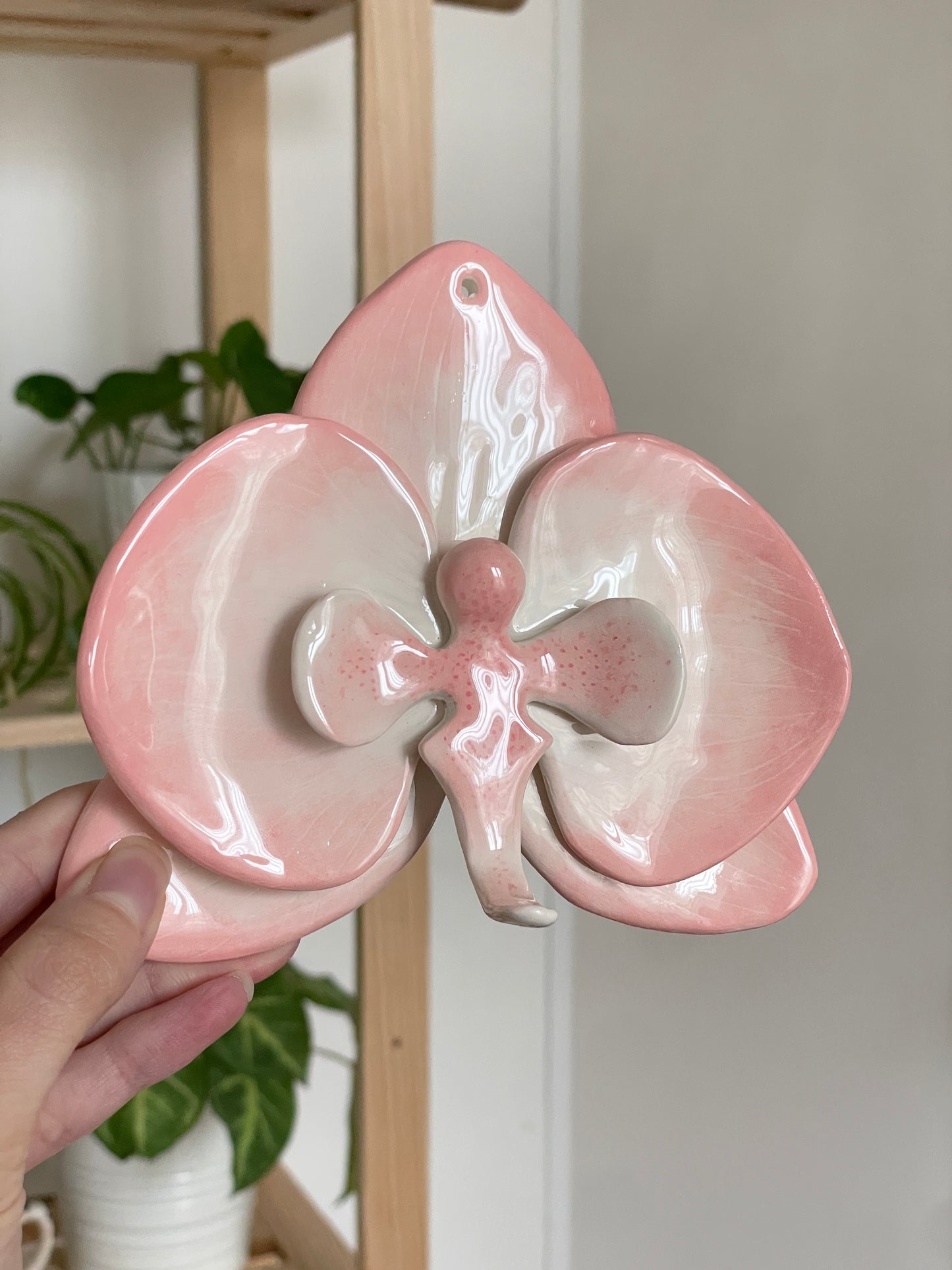 Orchidée murale rose