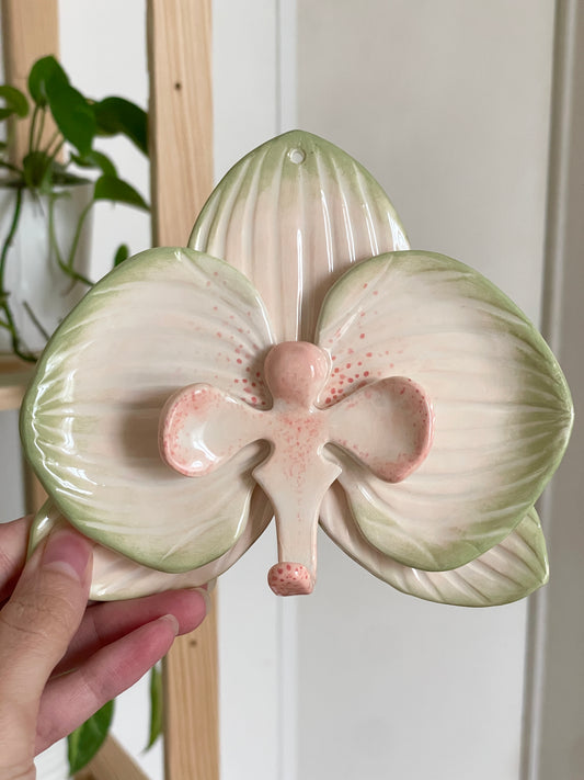 Orchidée murale beige et vert