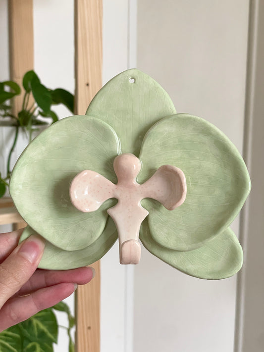 Orchidée murale vert
