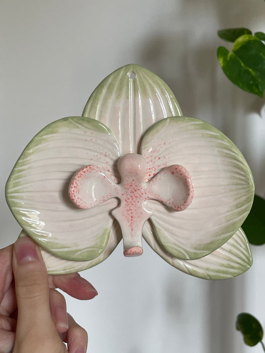 Orchidée murale beige & vert
