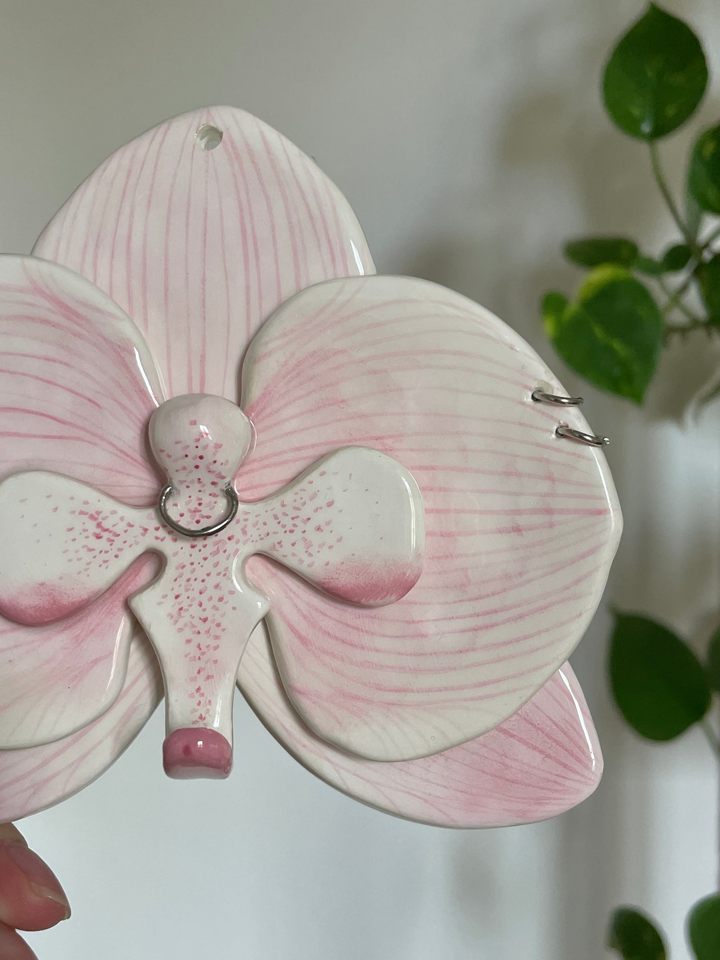 Orchidée clair piercing