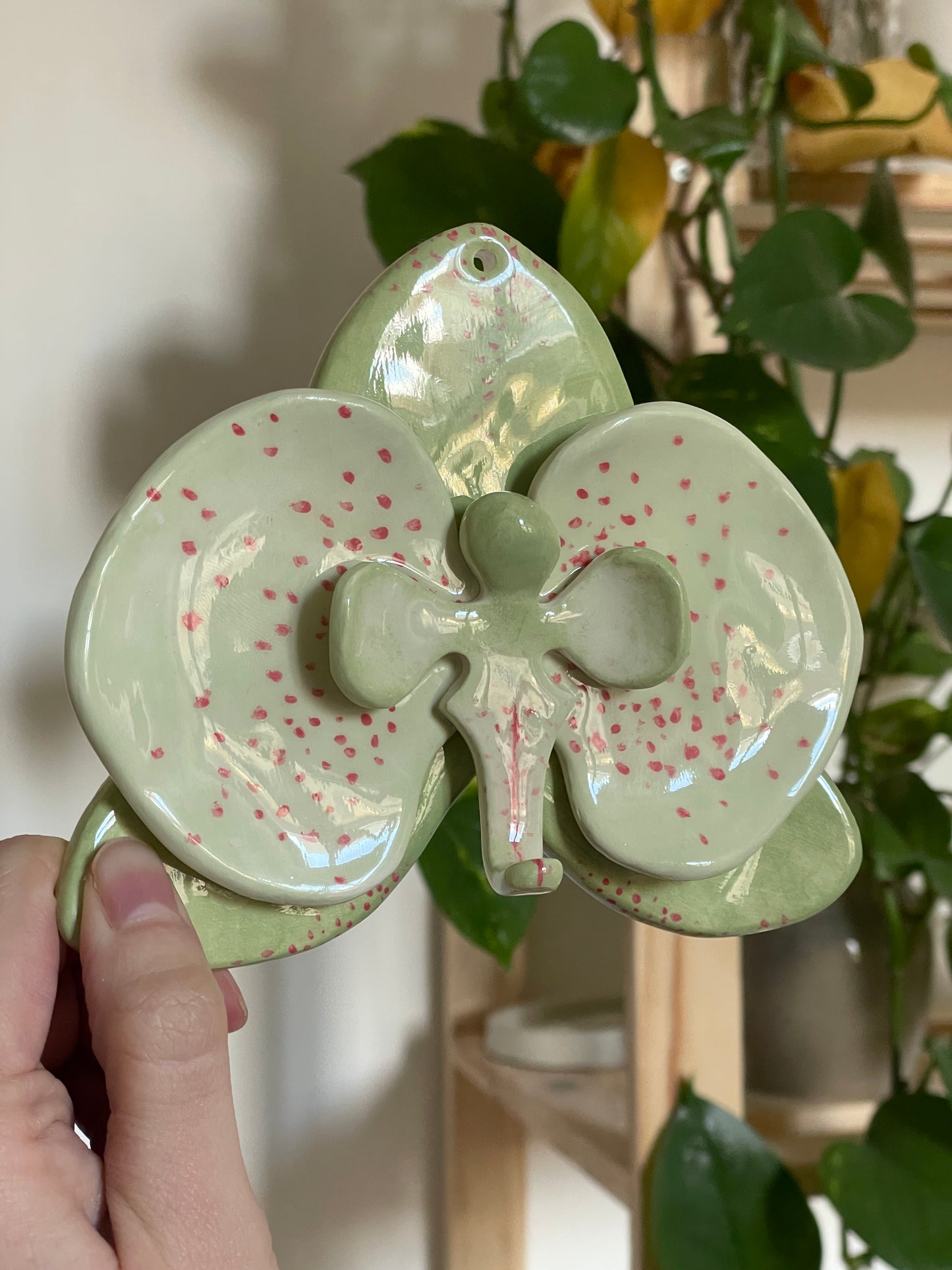 Orchidée vert & rouge