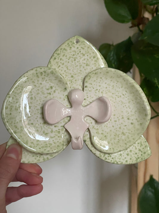 Orchidée tachetée verte