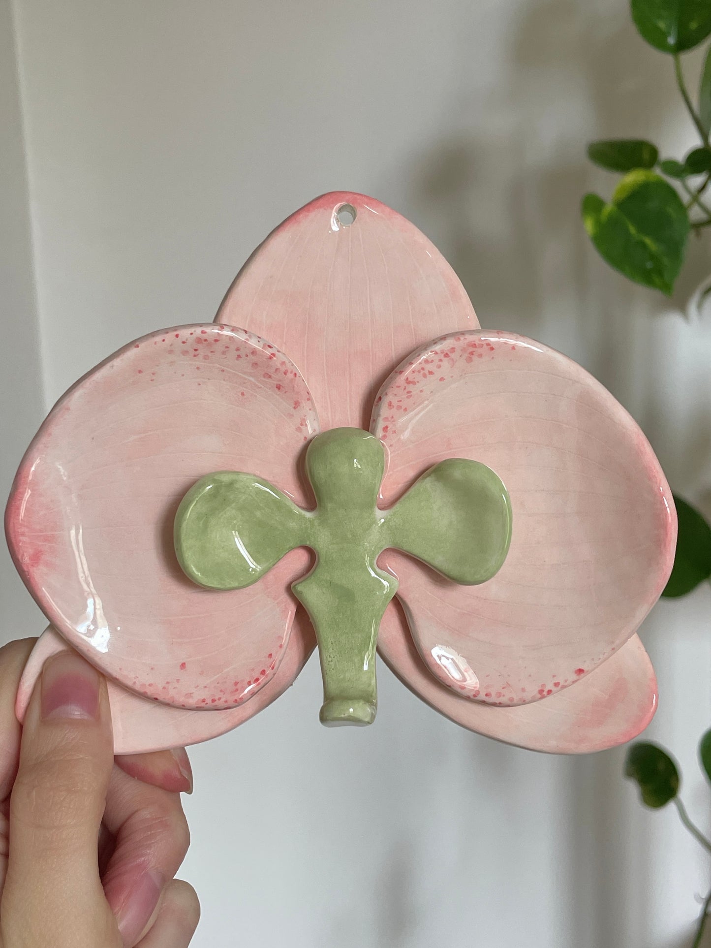 Orchidée rose & verte