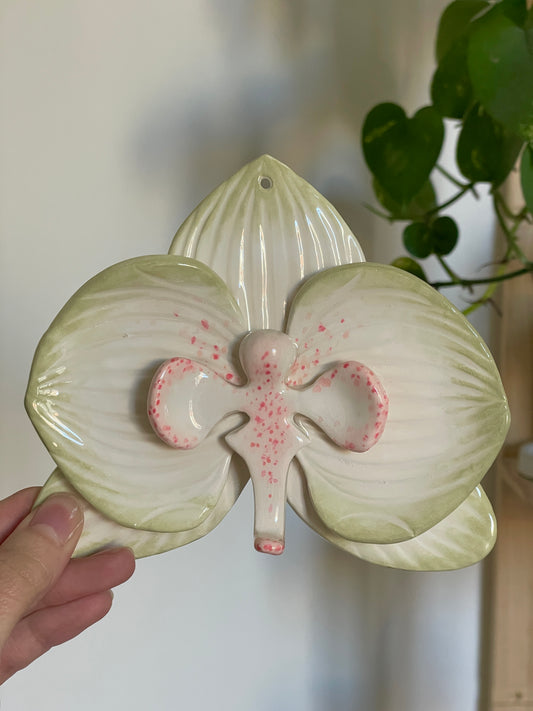 Orchidée beige & vert