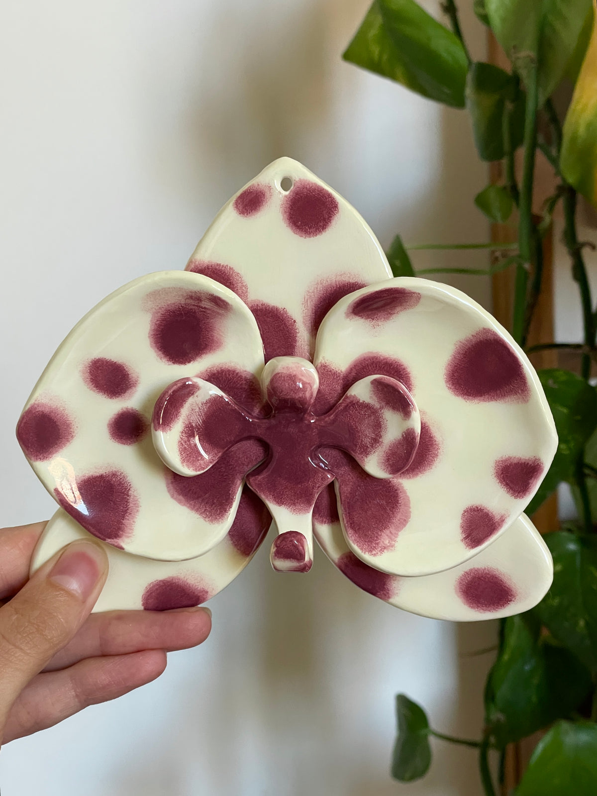 Orchidée murale - Berry Freckles