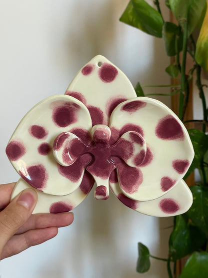 Orchidée murale - Berry Freckles