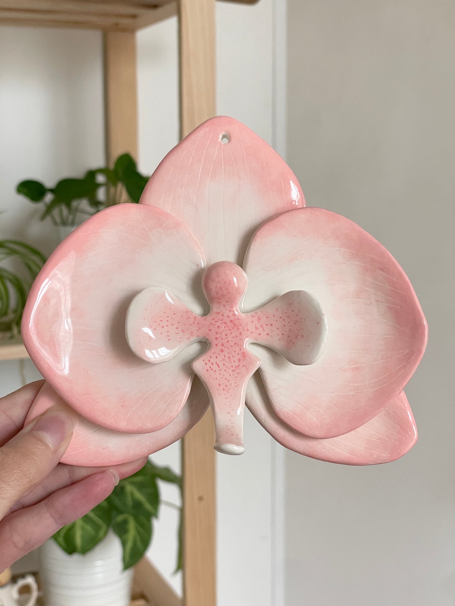 Orchidée murale rose