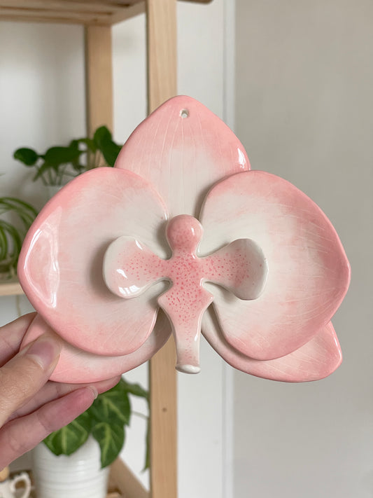 Orchidée murale rose