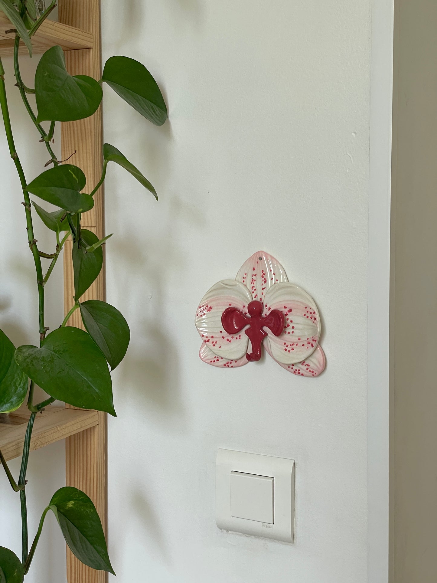 Orchidée murale rose & rouge