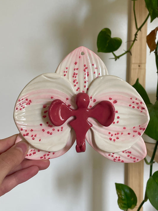 Orchidée murale rose & rouge