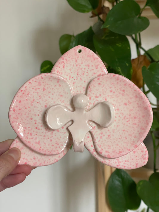 Orchidée tachetée rose