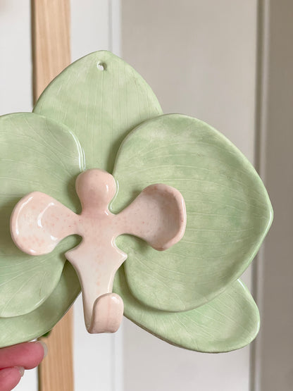 Orchidée murale vert