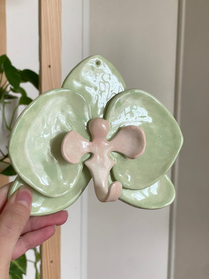 Orchidée murale vert