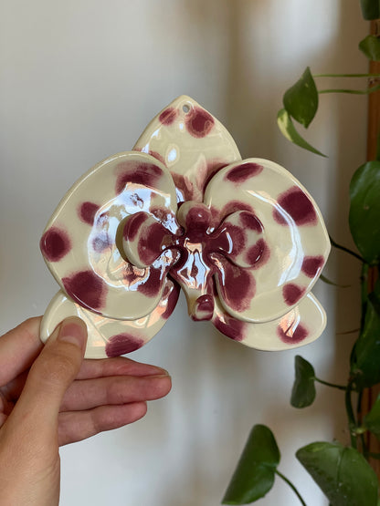 Orchidée murale - Berry Freckles