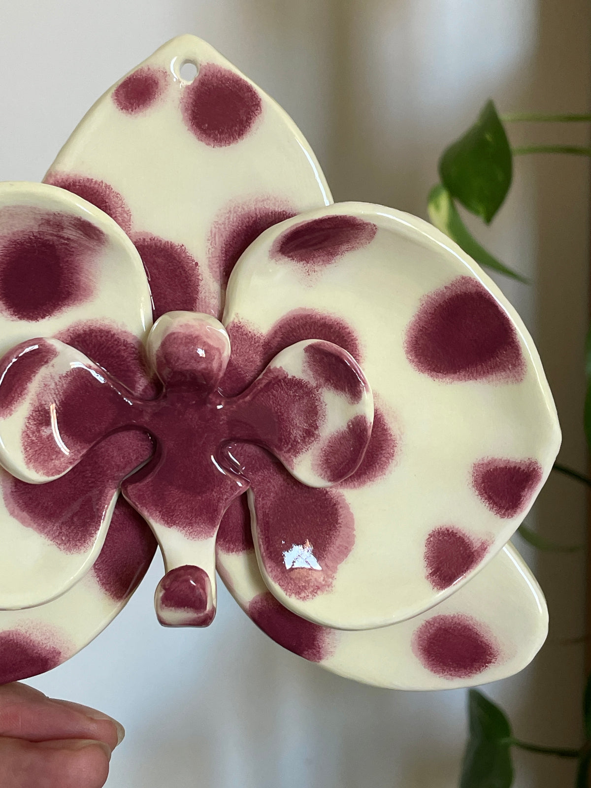 Orchidée murale - Berry Freckles