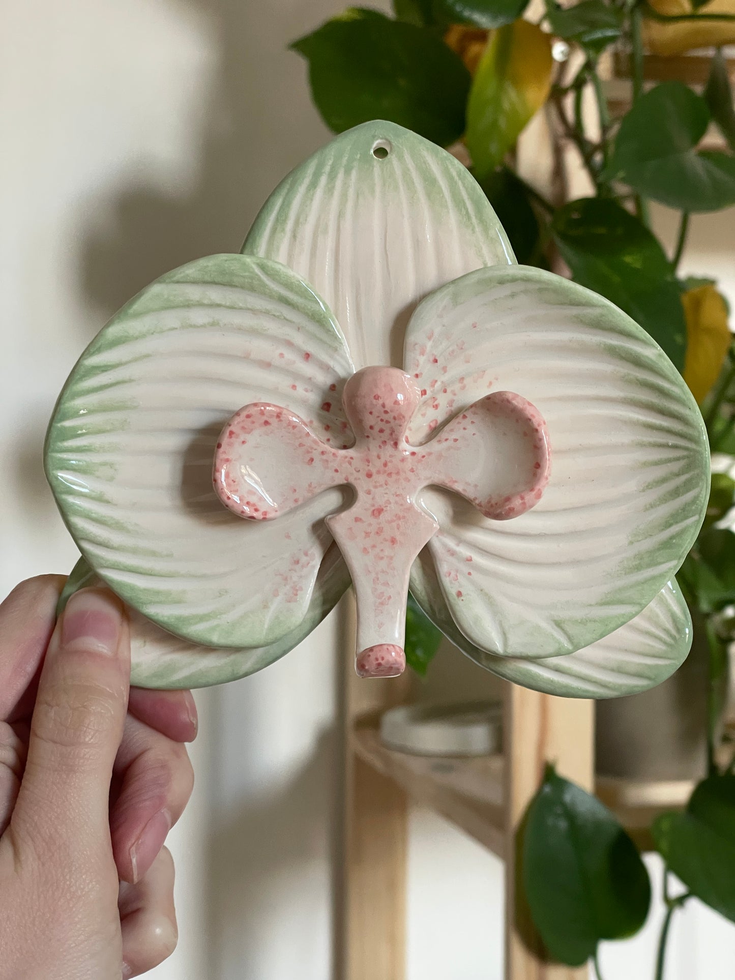 Orchidée beige & vert