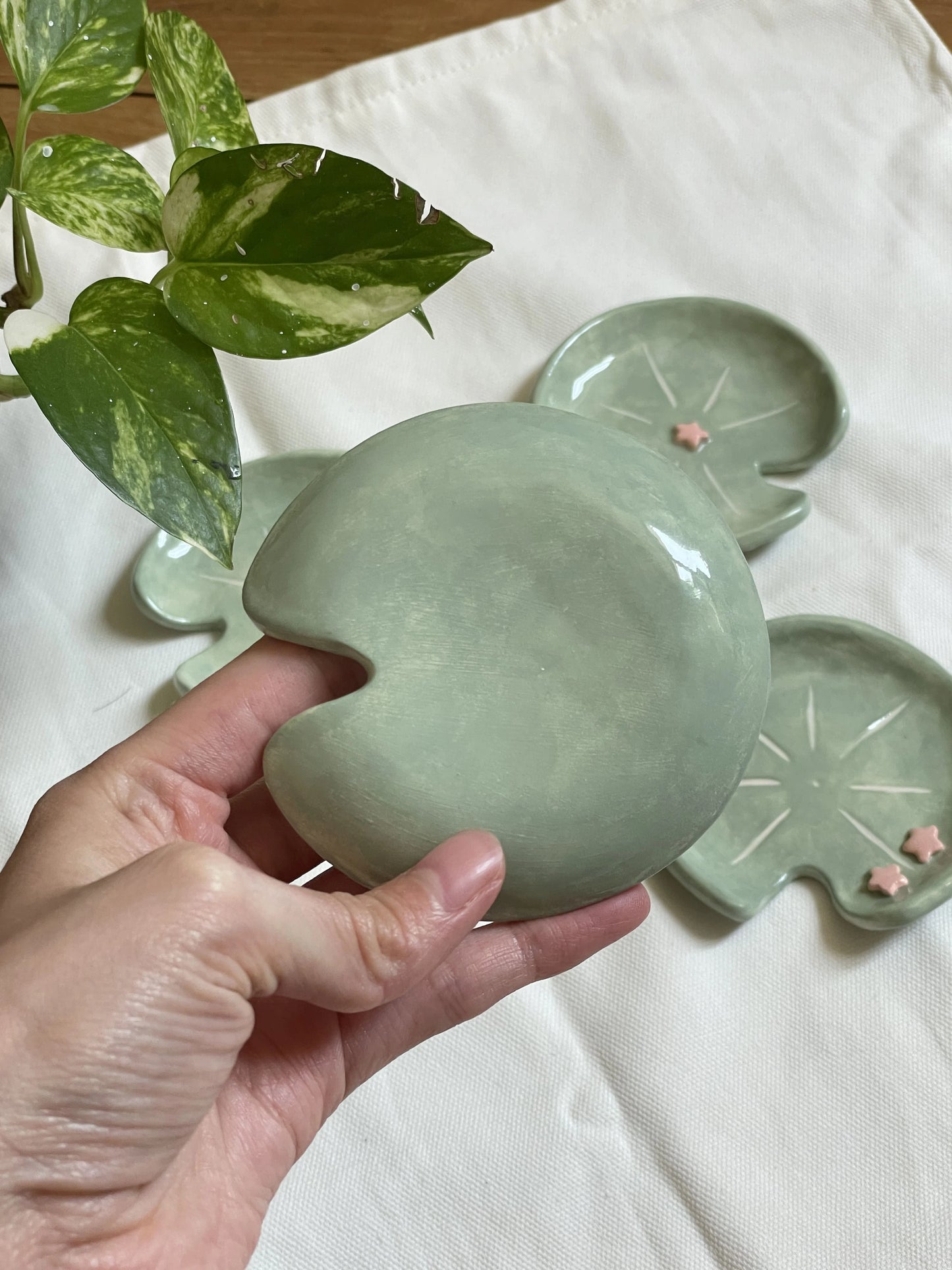 Coupelle nénuphar une étoile